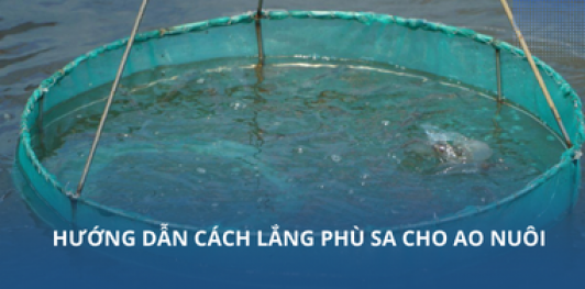 Hướng dẫn cách lắng phù sa cho ao nuôi